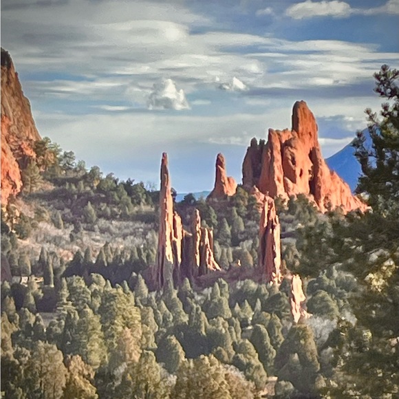 Meet your Posher, Elizabeth ♥️ - Picture 4 of 9